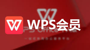 WPS 会员是否值得买？为什么要做这个对比