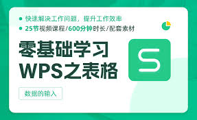 WPS表格使用教程：从入门到精通一步到位